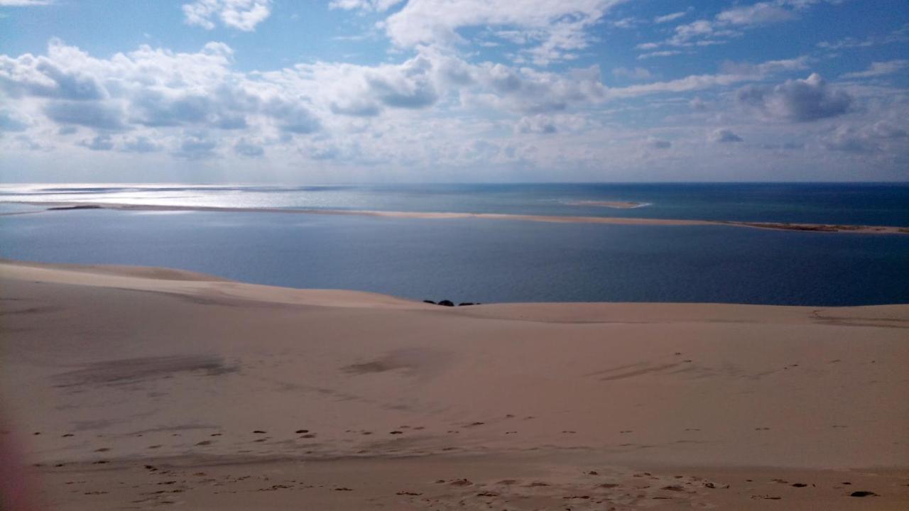 L' Albatros Lägenhet Arcachon Exteriör bild